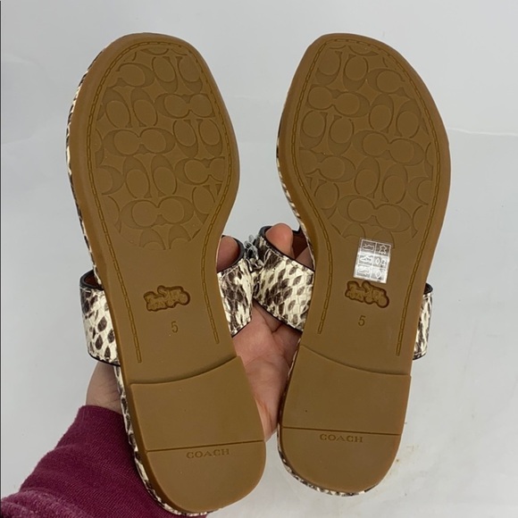 Coach Sz 5 Snake Embossed Leather Flat Sandals - Picture 5 of 5